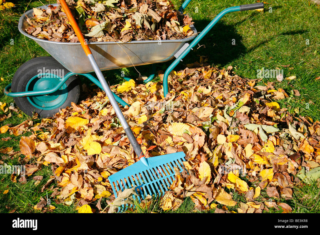 Pile of leaves, autumn Stock Photo