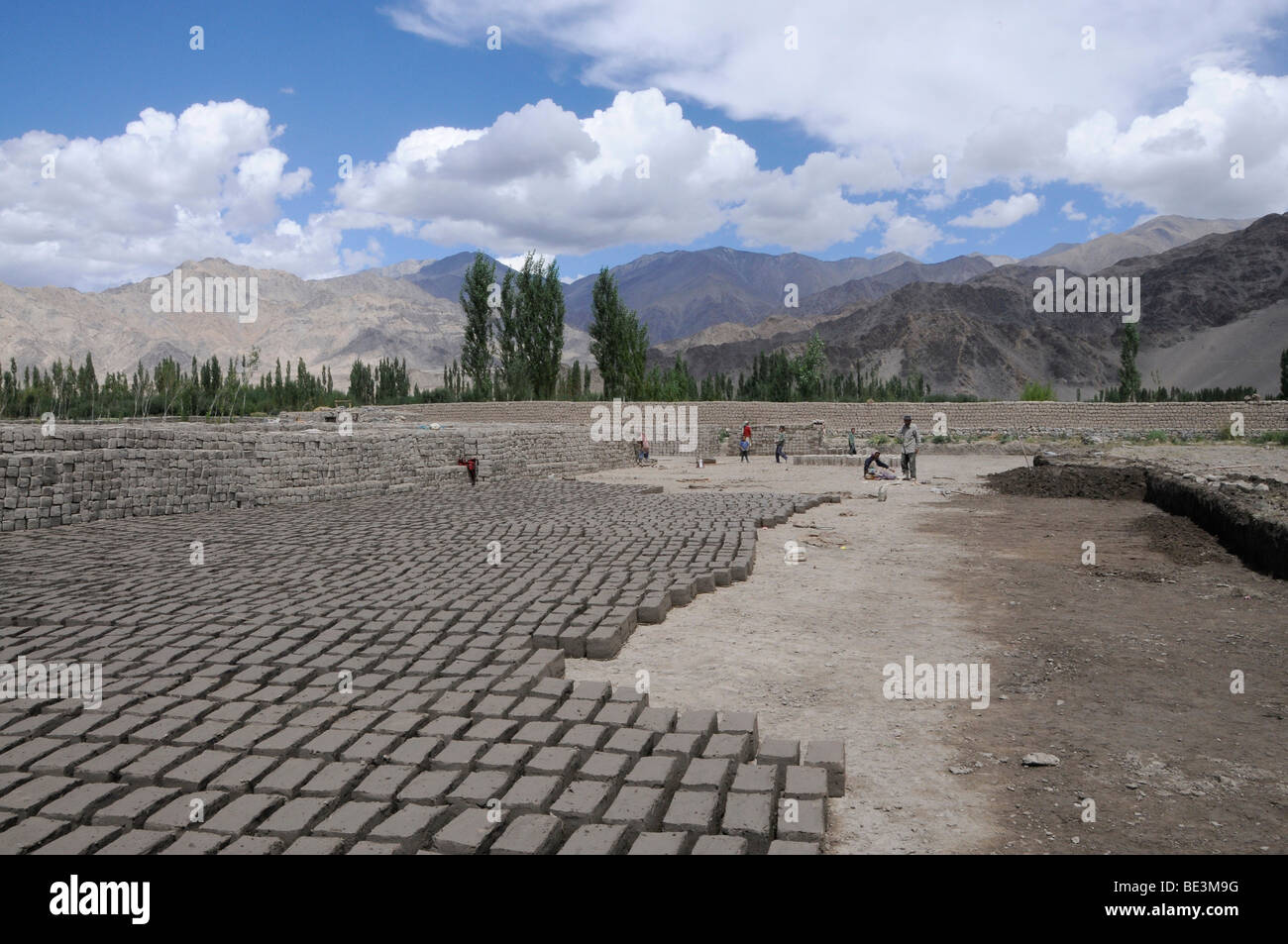 Brickyard which manufactures air-dried clay bricks in the Indus valley, Traktok, Ladakh, India, Himalayas, Asia Stock Photo