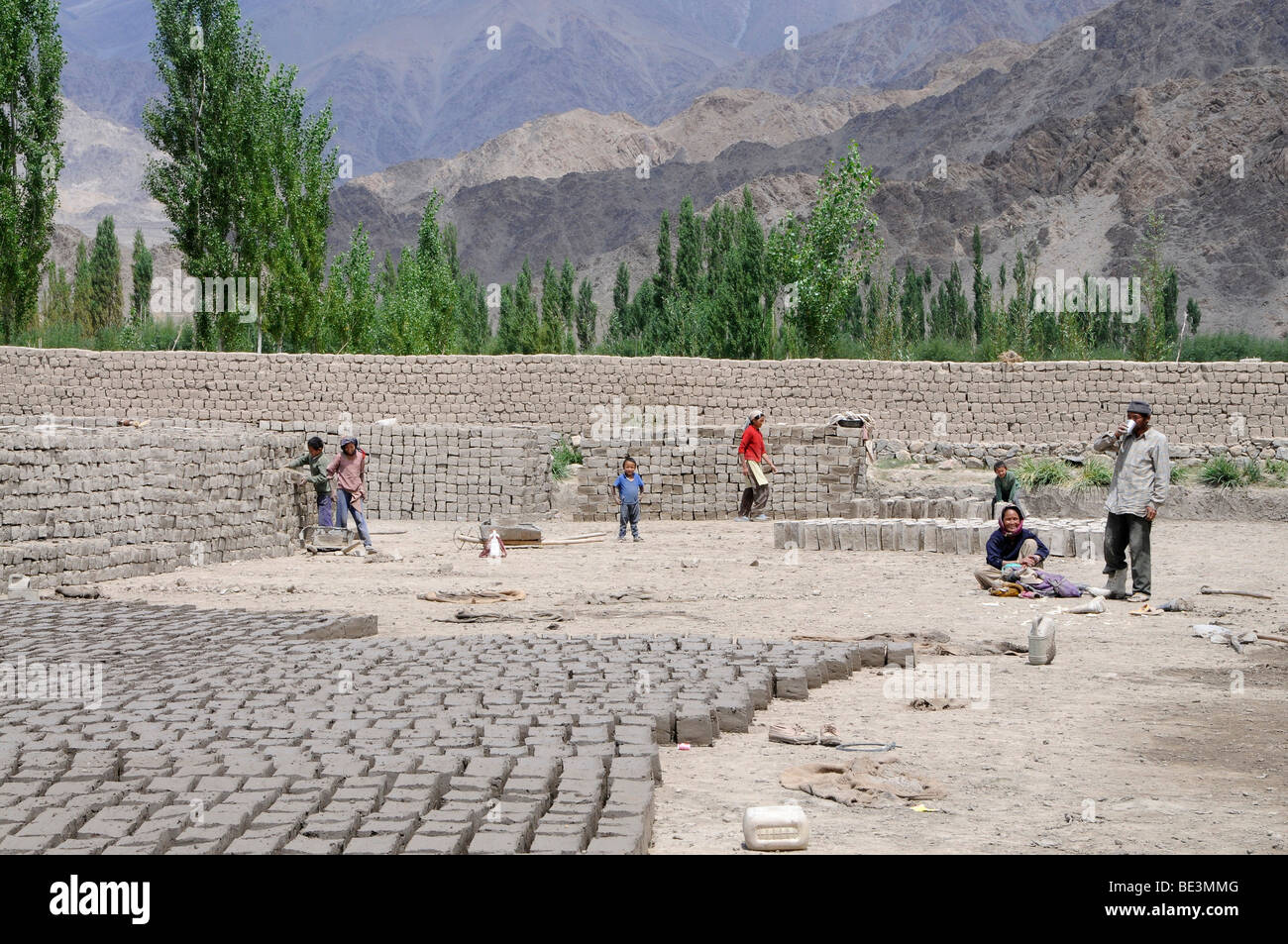 Brickyard which manufactures air-dried clay bricks in the Indus valley, Traktok, Ladakh, India, Himalayas, Asia Stock Photo