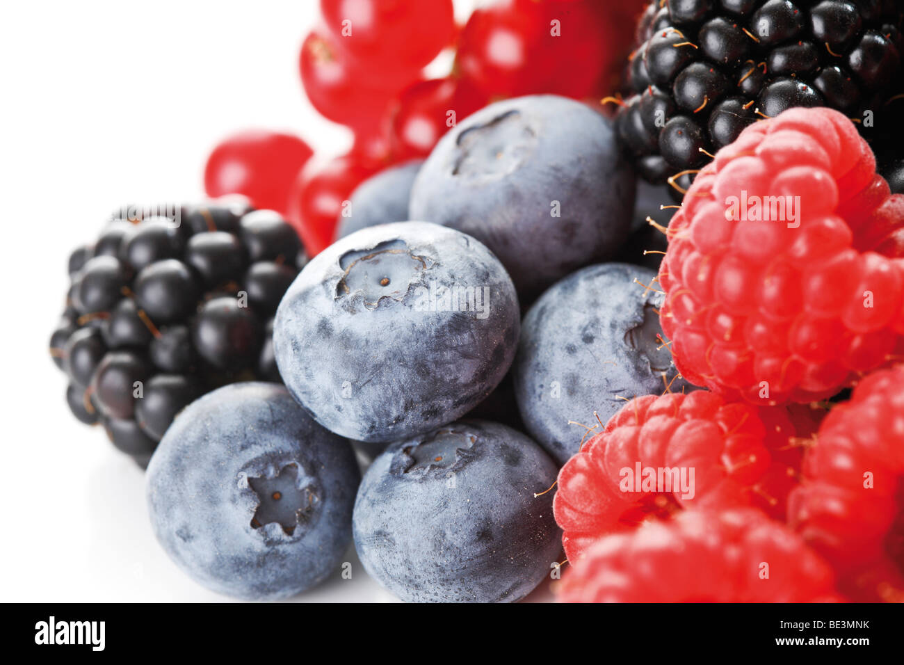Wild berries, raspberries, blackberries, blueberries, currants Stock Photo