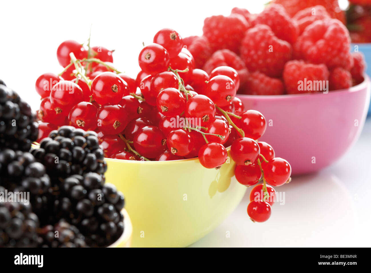 Wild berries in colourful bowls, raspberries, blackberries, currants Stock Photo