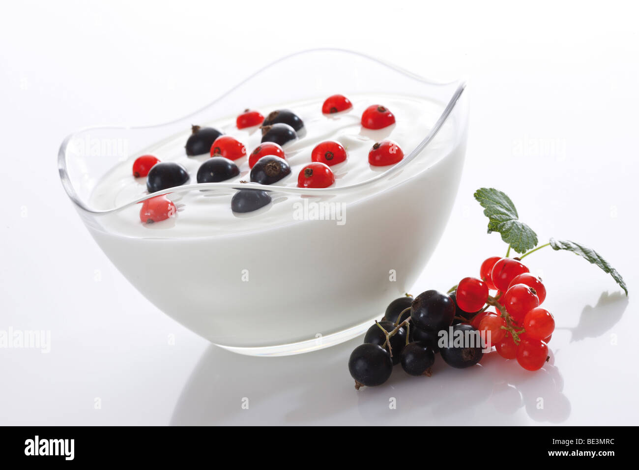 Yogurt with currants Stock Photo