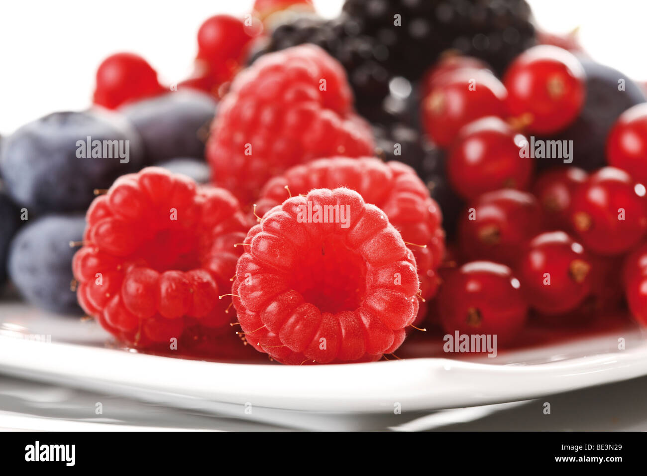 Wild berries on a plate, raspberries, blackberries, blueberries, currants Stock Photo