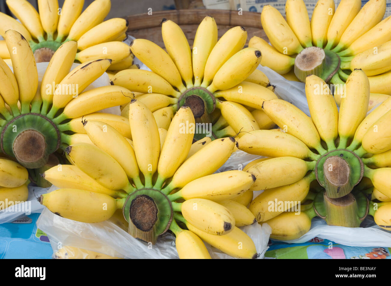 Baby bananas in the market, Sukhothai, Thailand, Asia Stock Photo - Alamy