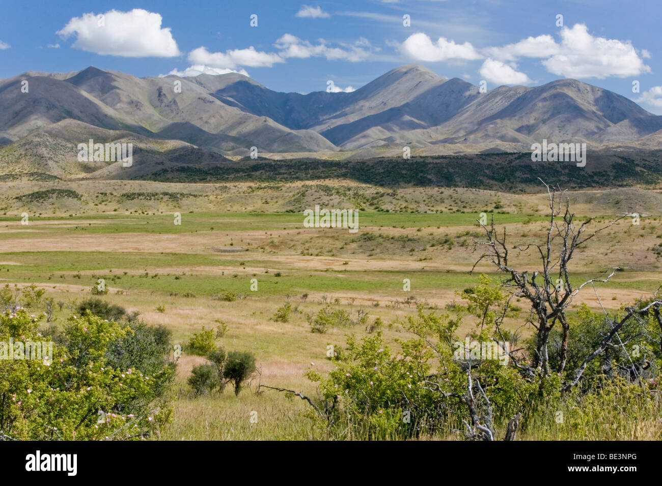 View over a grassy landscape on the mountains of the Rachel Range, Molesworth, South Island, New Zealand Stock Photo