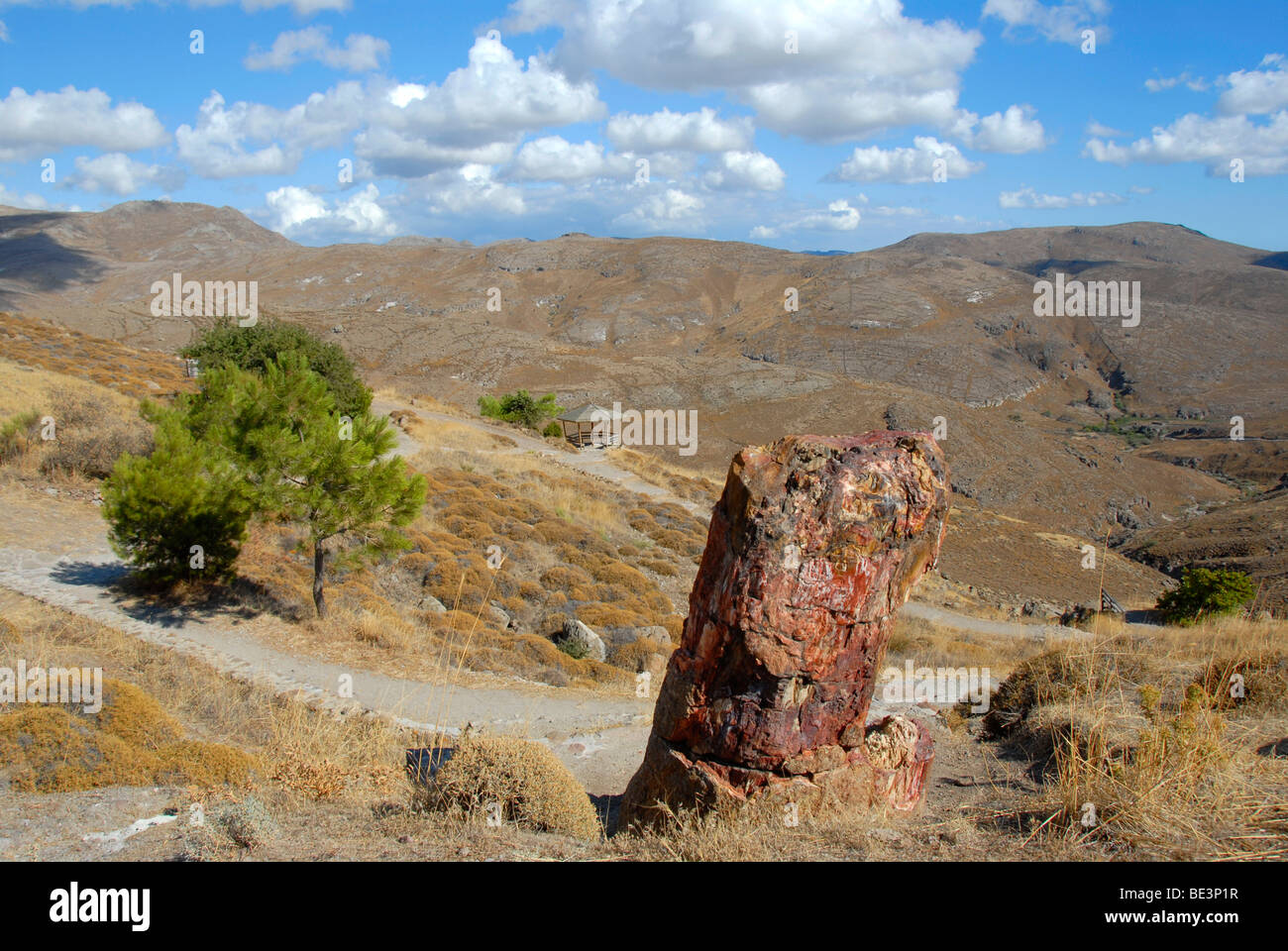 Petrified tree stump, petrified forest between Sigri and Antissa, Lesbos Island, Aegean Sea, Greece, Europe Stock Photo
