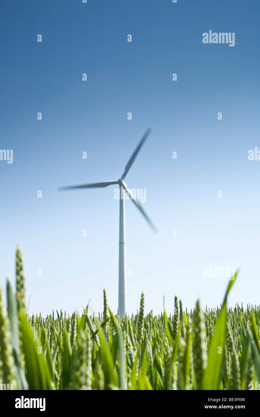 Wind turbine against a blue sky, field in the foreground Stock Photo ...