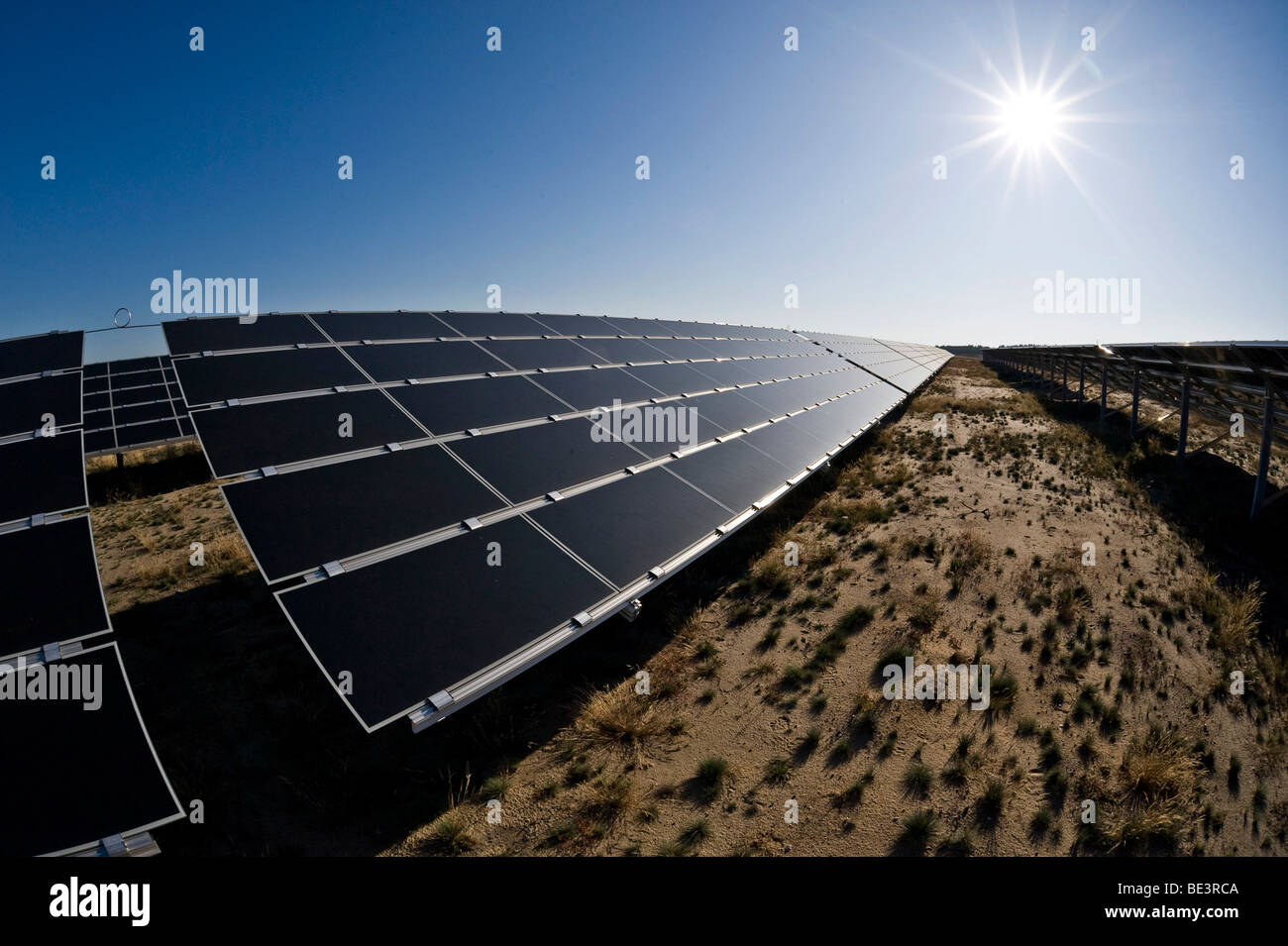 Germany's largest solar farm in Lieberose, Spreewald, Brandenburg, Germany, Europe Stock Photo