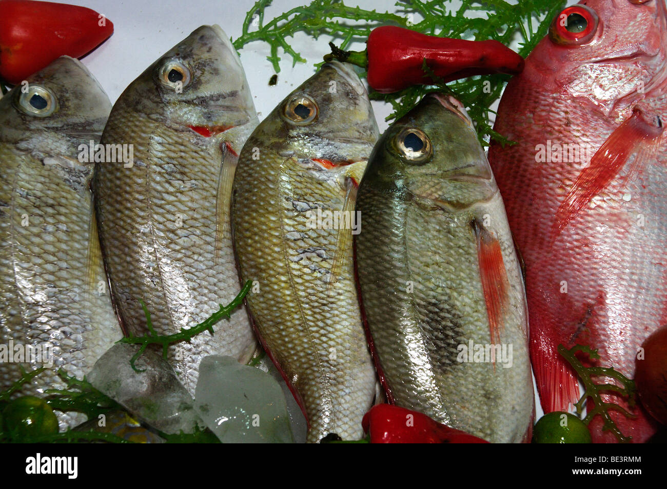 Fresh fish and chillies, Alona Beach, Panglao Island, Bohol, The ...