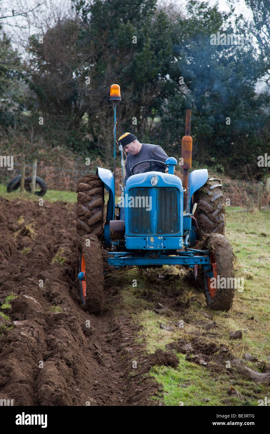 tractor fordson major; ploughing; cornwall Stock Photo Alamy