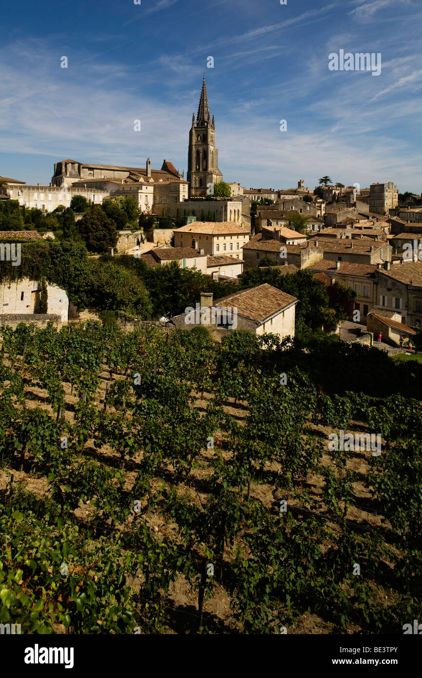 Vines growing inside the village of Saint Emilion in the Bordeaux wine producing region of France Stock Photo