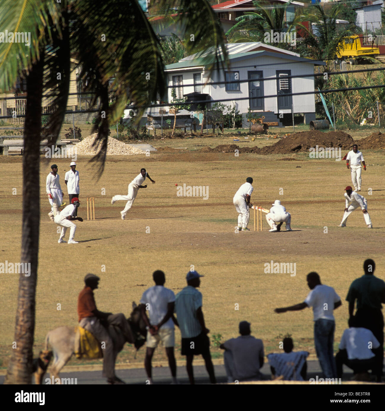 Playing cricket in Antigua Stock Photo Alamy