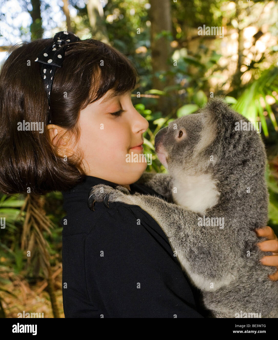eight year old girl faces Koala at Lone Pine Koala Sanctuary, Brisbane Stock Photo