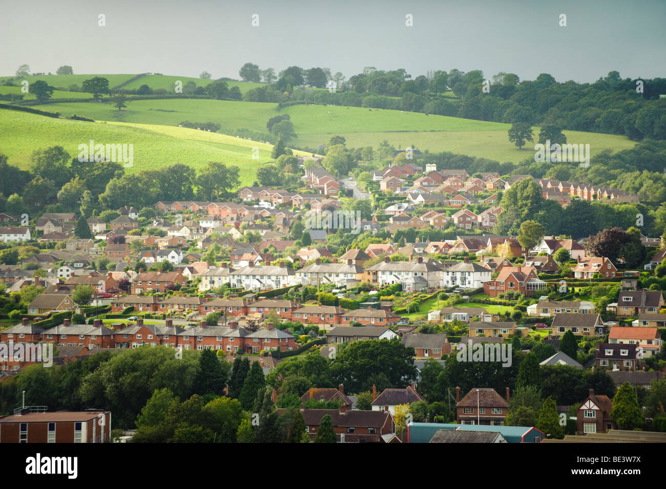 housing estate in Newtown, Powys Wales UK Stock Photo