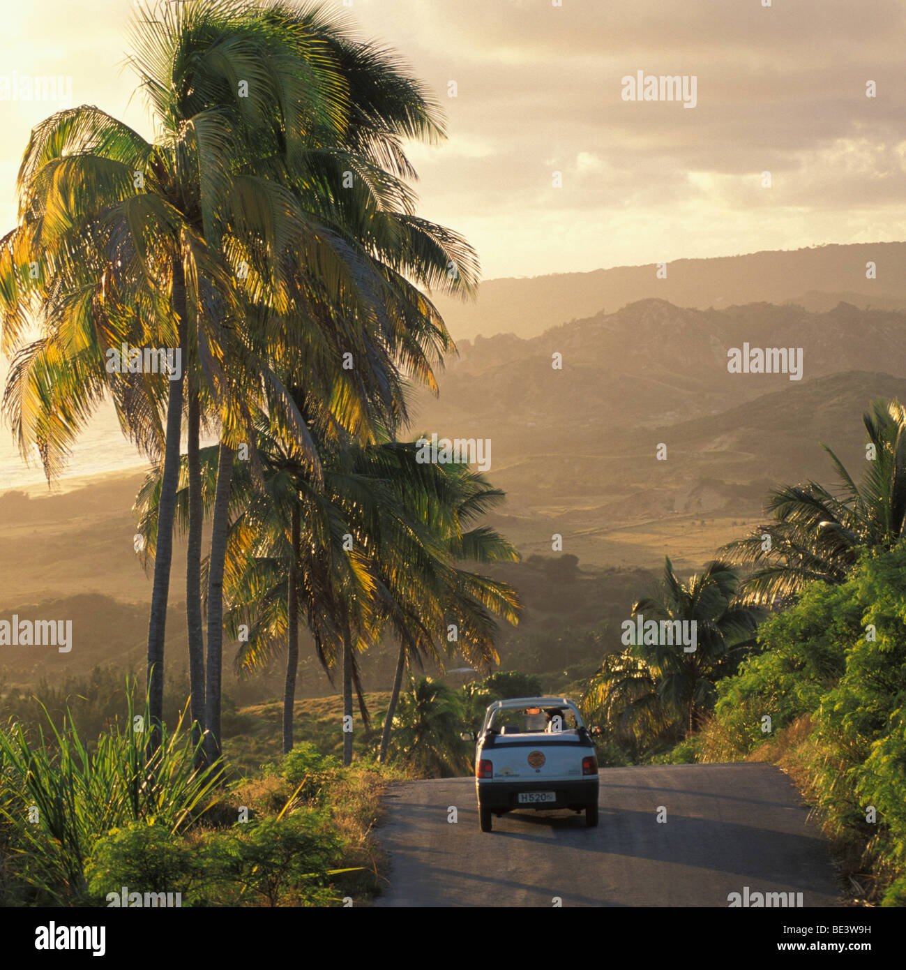 car driving on mountain road in Barbados Stock Photo Alamy