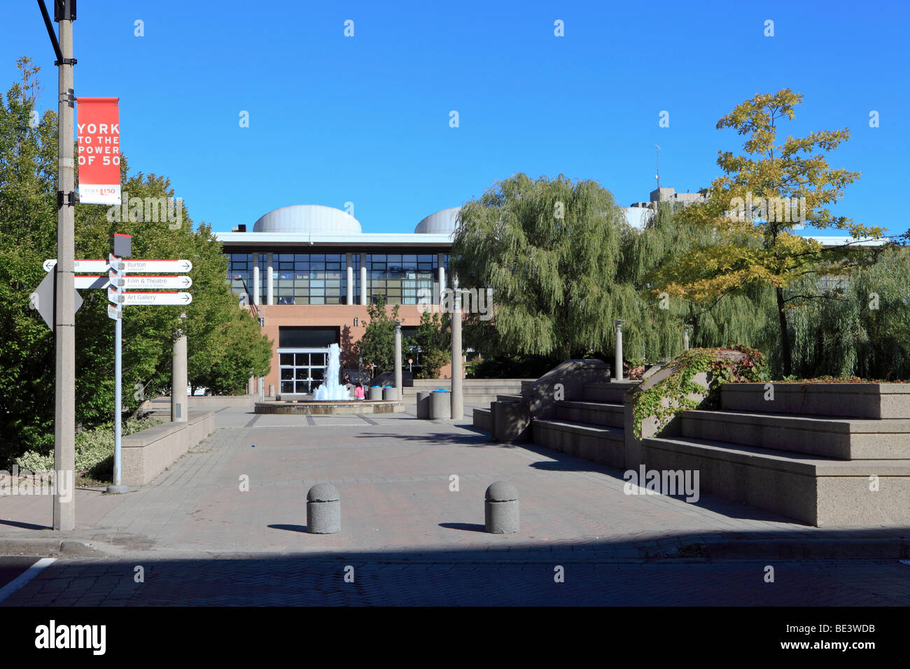 York University Toronto