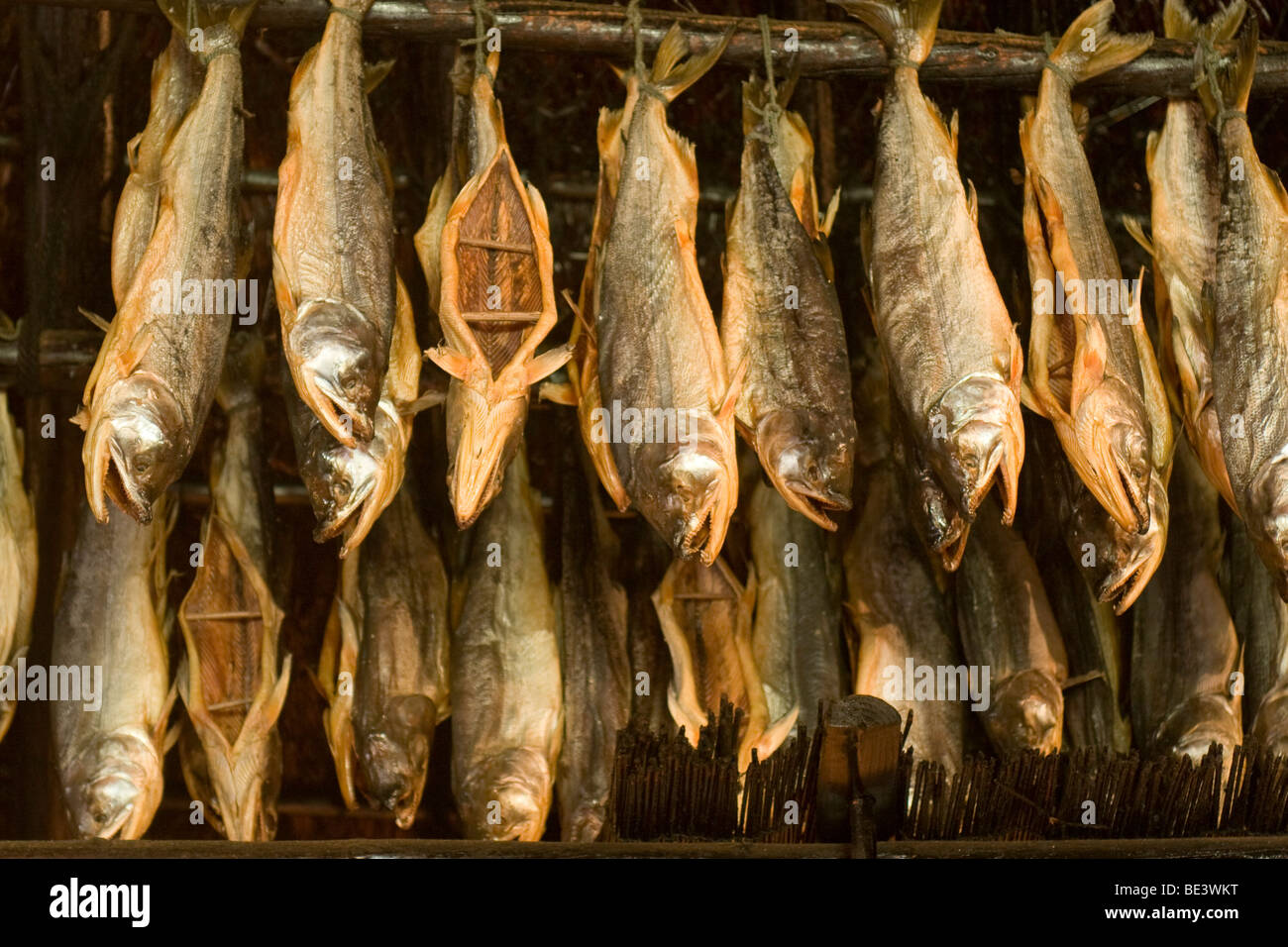 Dried Abo Fish Half Kilo Vacuum Sealed ubicaciondepersonas.cdmx.gob.mx