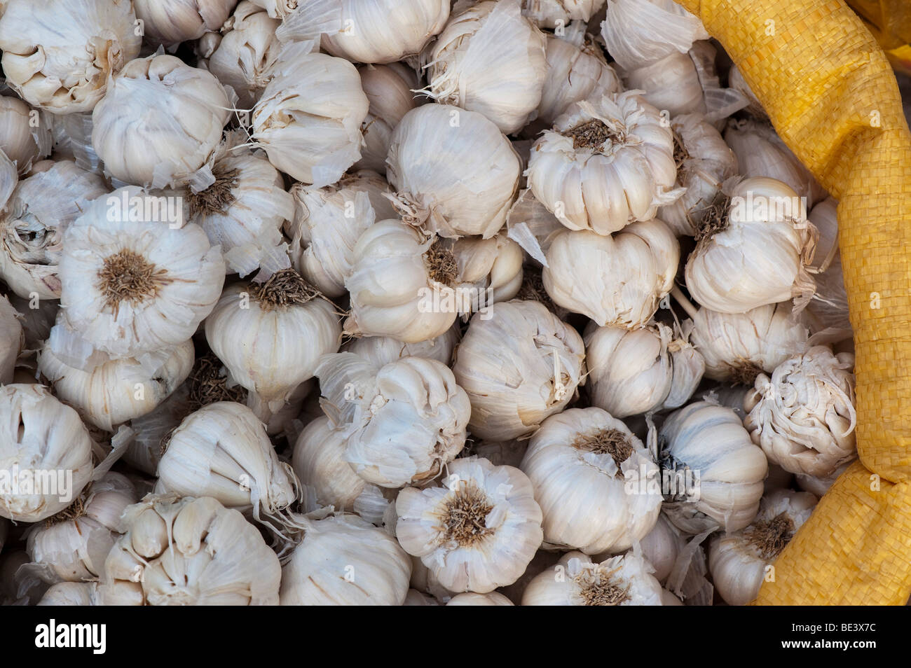 Sack of garlic cloves on at an Indian market. Andhra Pradesh, India Stock Photo