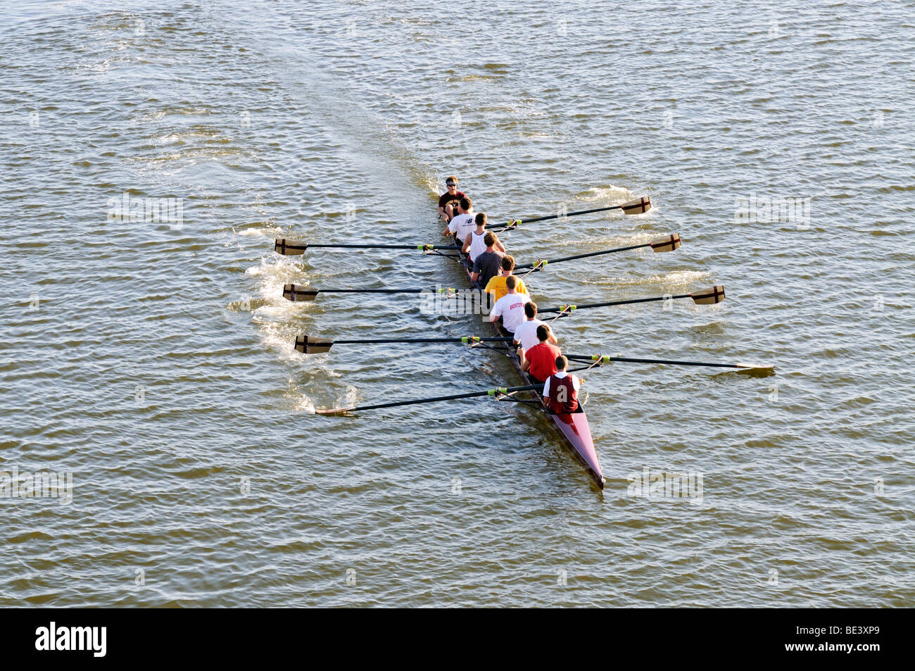 Sculling on river in Boston, Massachusetts in an 8 man shell Stock Photo