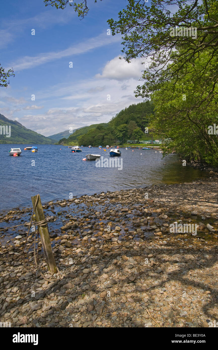 Loch Eck, Argyll forest Park, Argyl and Bute, Scotland. June, 2009