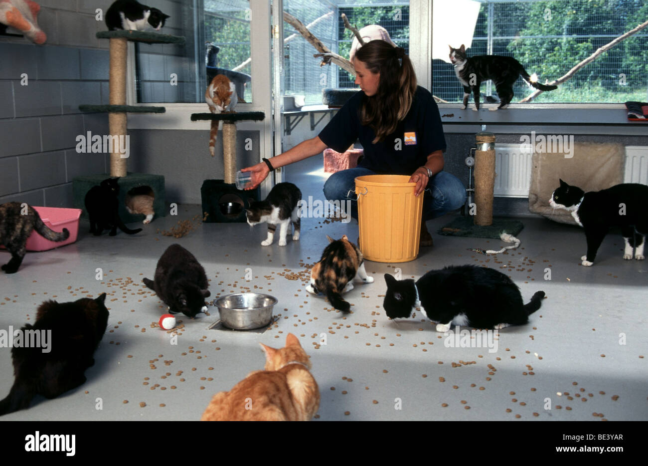 Animal Shelter High Resolution Stock Photography And Images Alamy