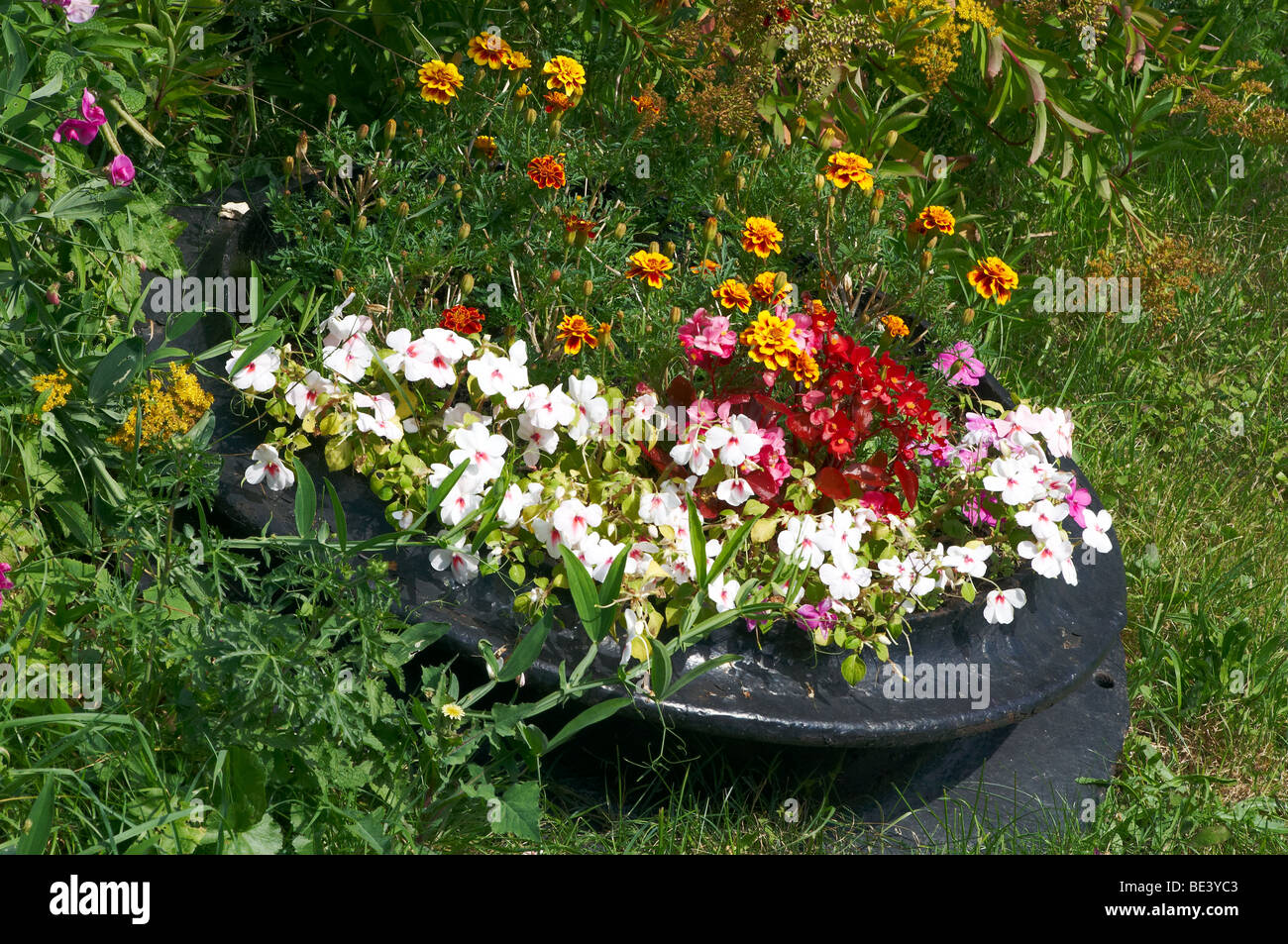 Flower Steam Engine Flowers in an old steam engine chimney, Ropley Mid-Hants Railway in ...