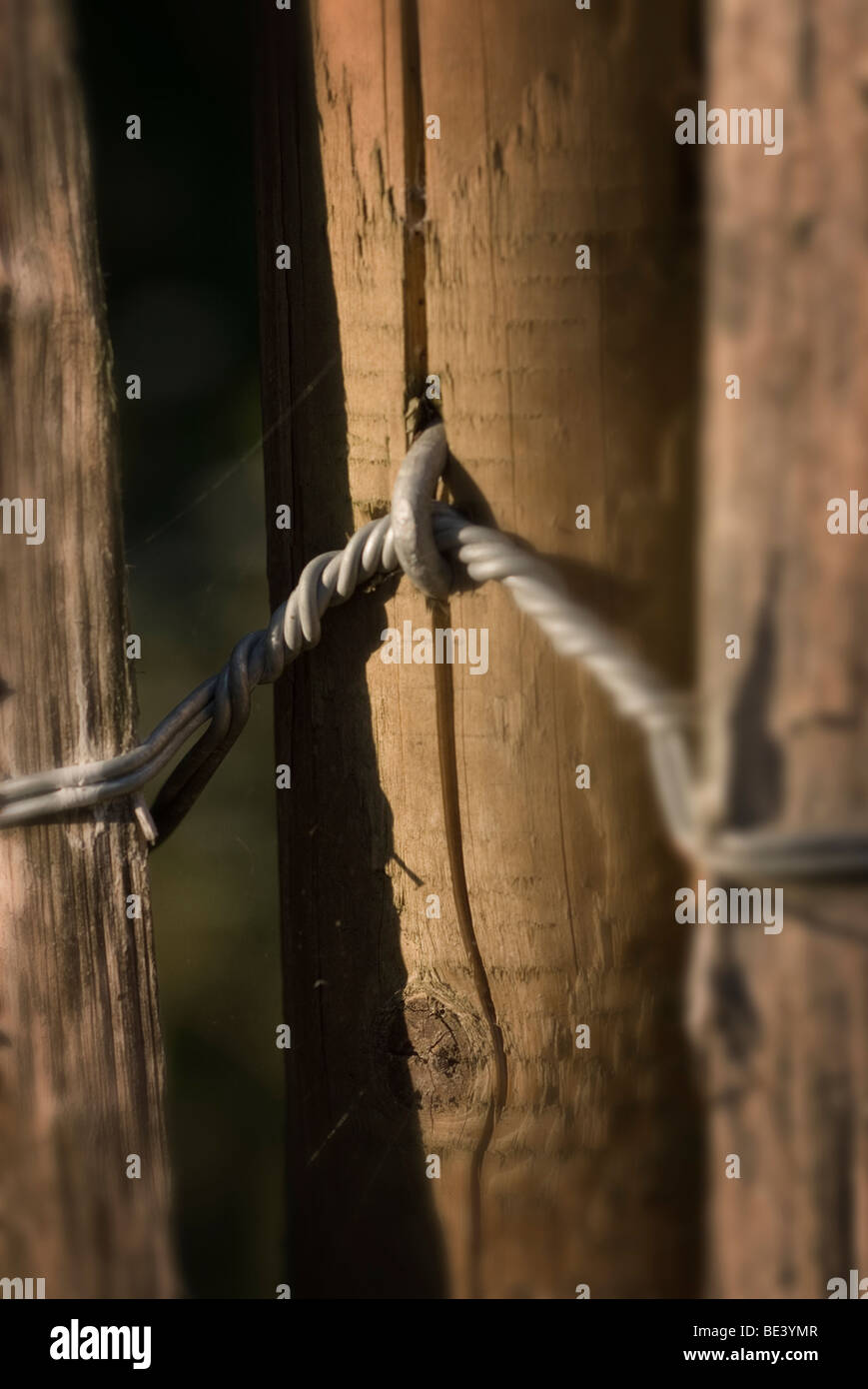 galvanised wire stapled to splitting wooden fence post Stock Photo - Alamy