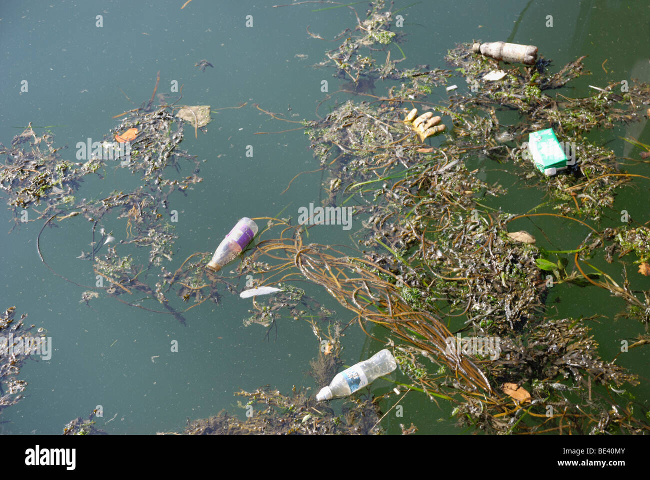 Flotsam and Jetsam Stock Photo Alamy