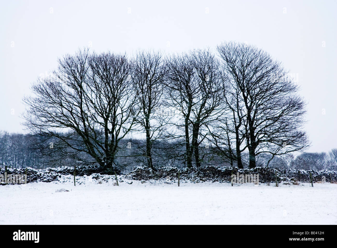 Falling snow in the countryside hi-res stock photography and images - Alamy