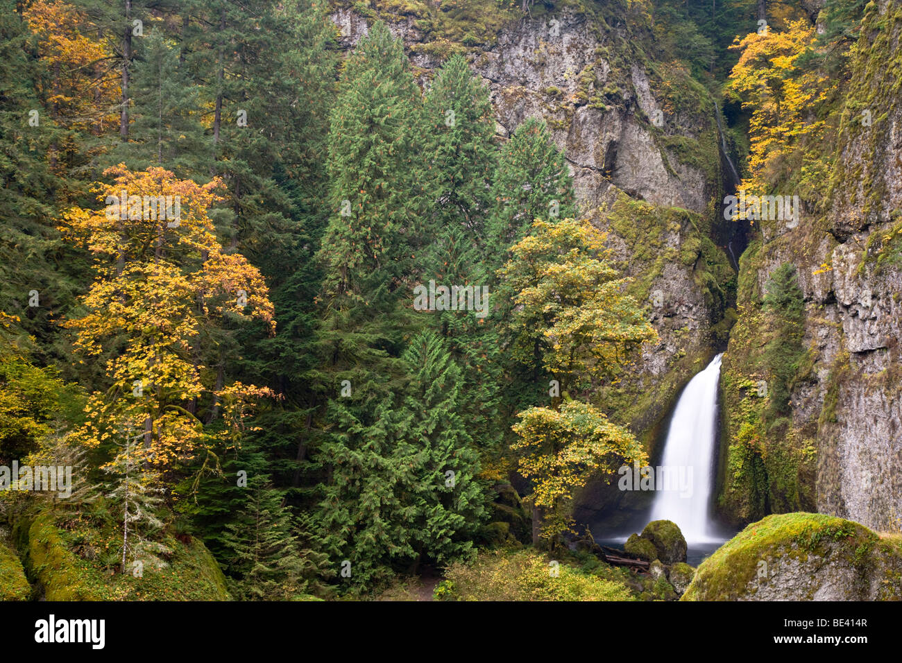 wahclella-falls-columbia-river-gorge-national-scenic-area-oregon-usa