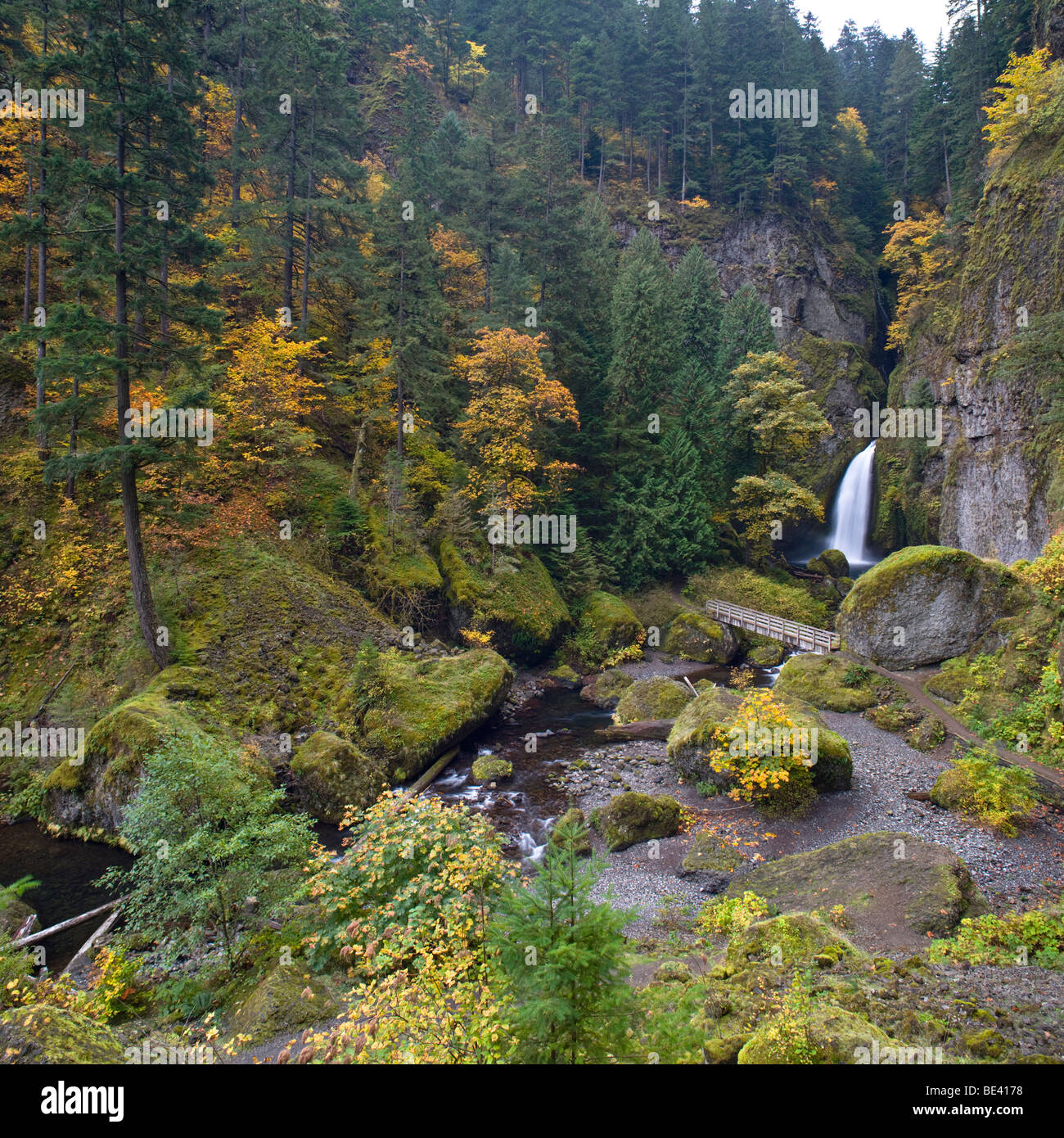Wahclella Falls Columbia River Gorge National Scenic Area Oregon USA wahclella-falls-columbia-river-gorge-national-scenic-area-oregon-usa