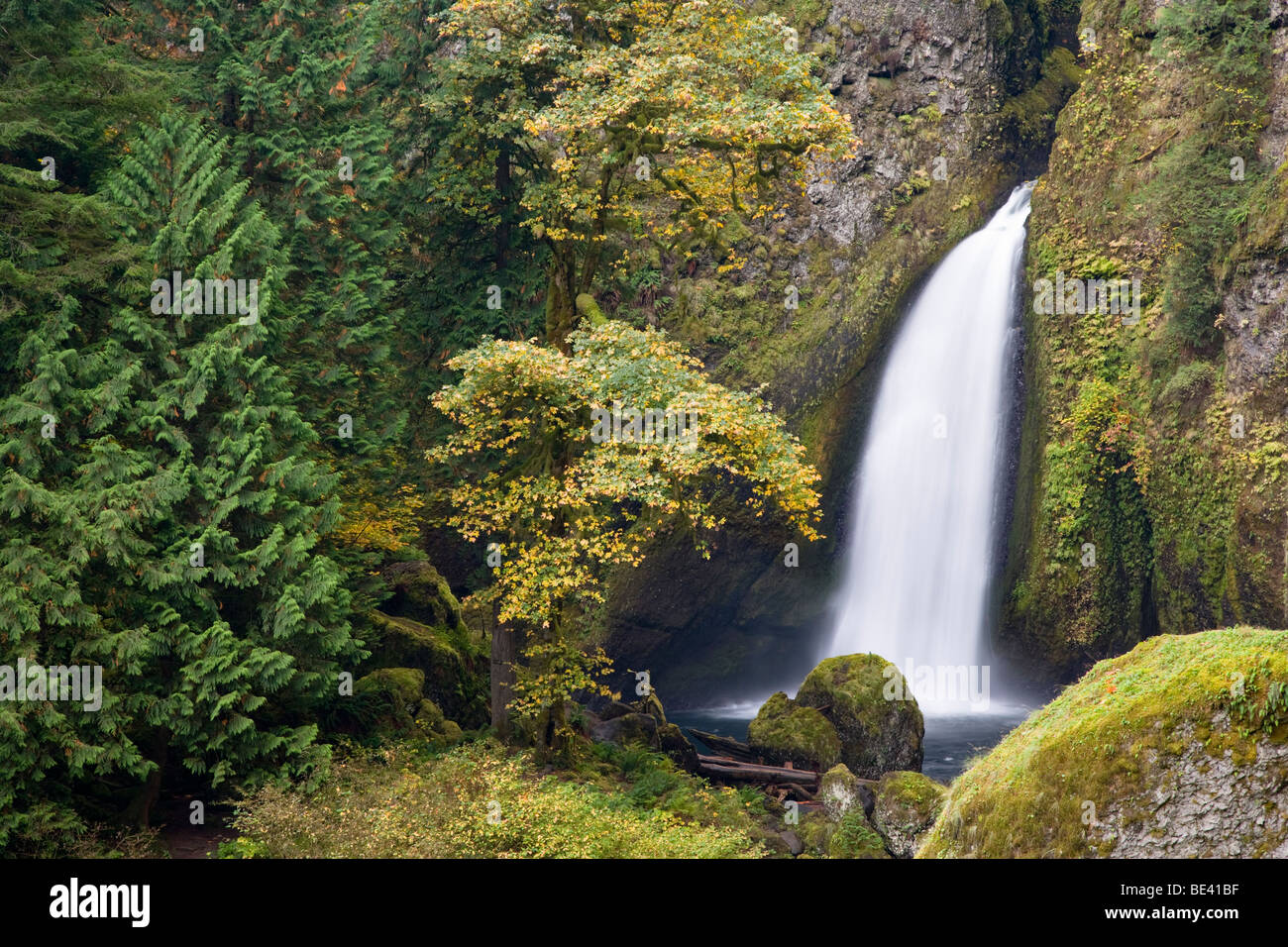 Wahclella Falls Columbia River Gorge National Scenic Area Oregon USA wahclella-falls-columbia-river-gorge-national-scenic-area-oregon-usa