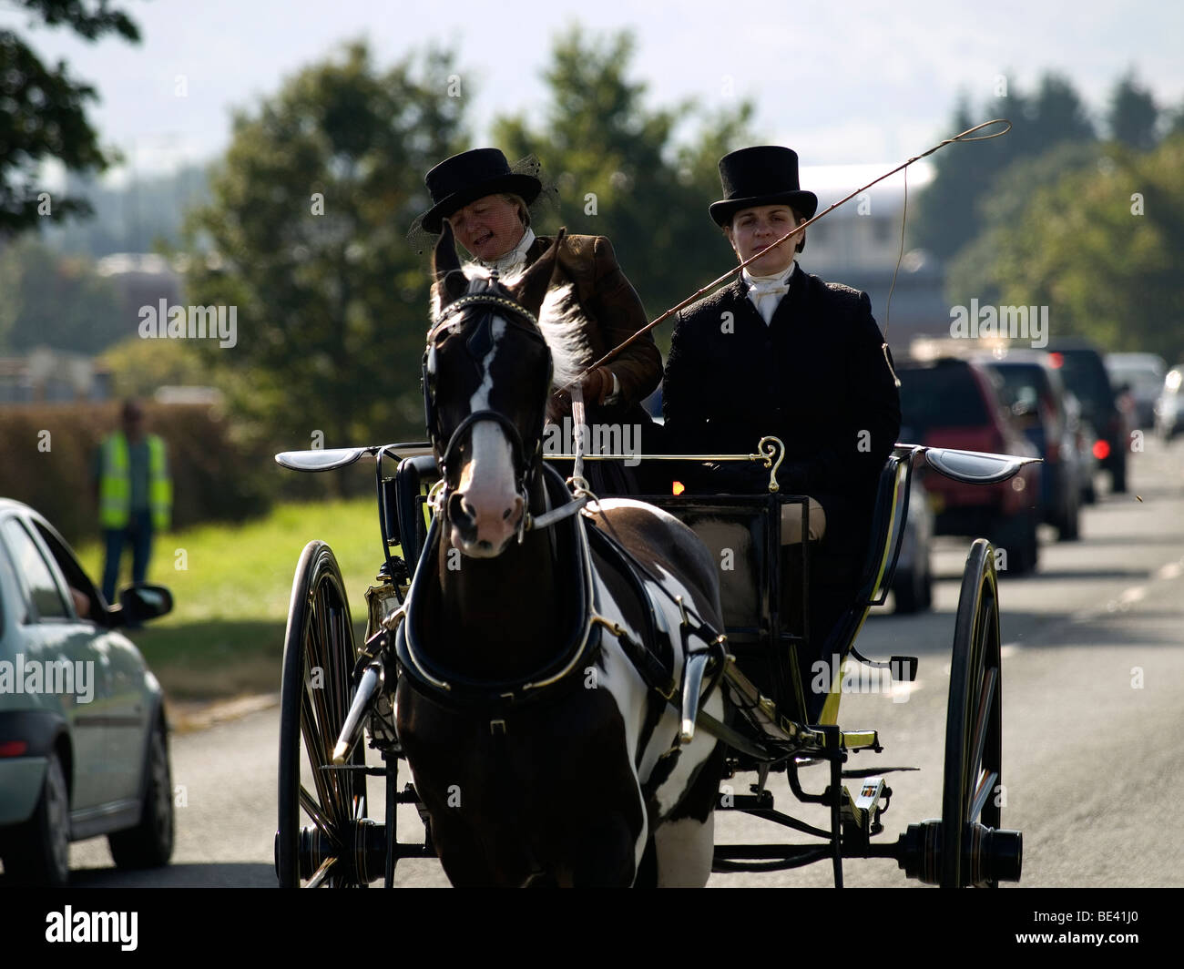 Horse carriage driving gig hires stock photography and images Alamy