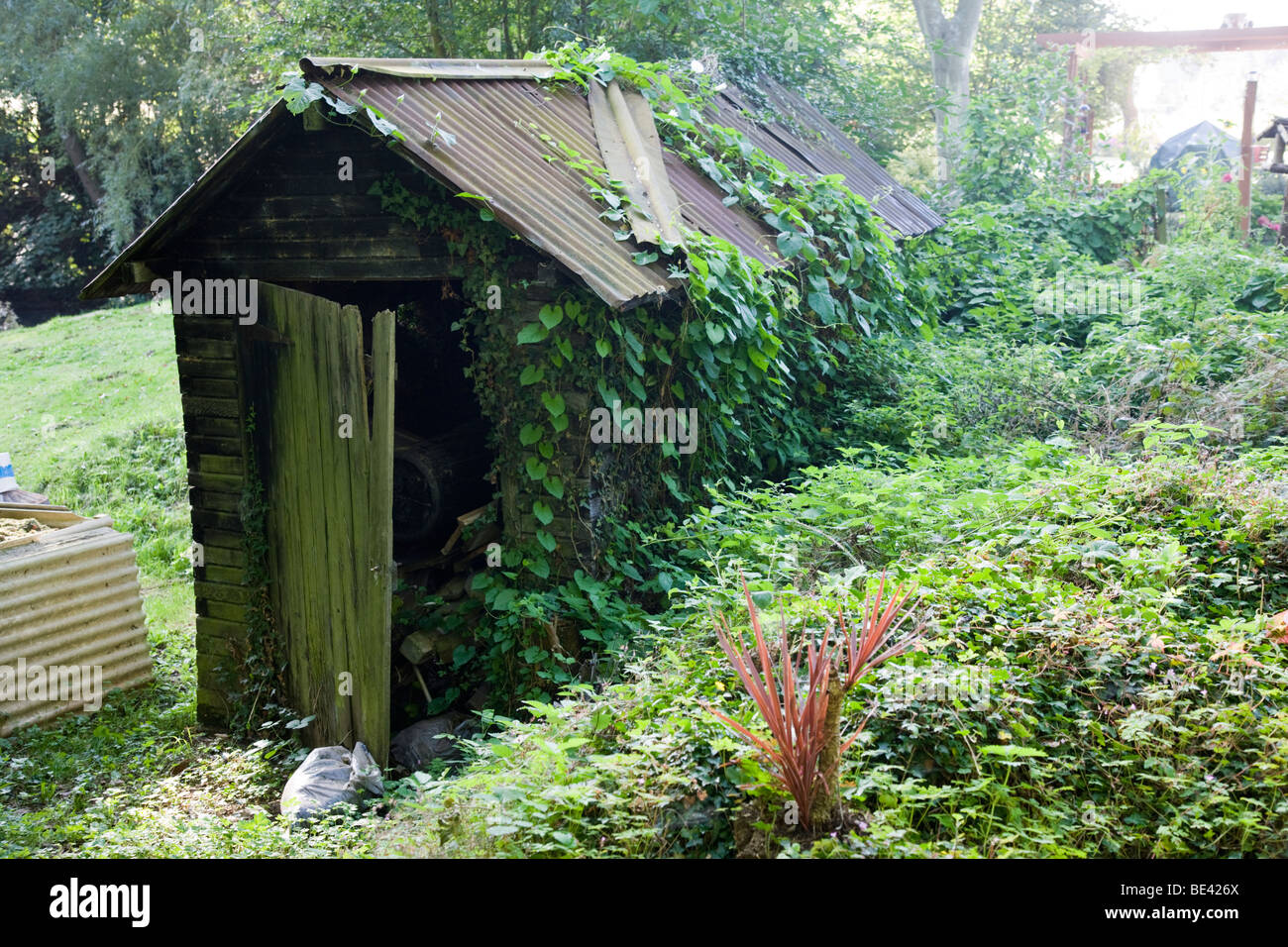 Overgrown garden shed with tin roof Stock Photo