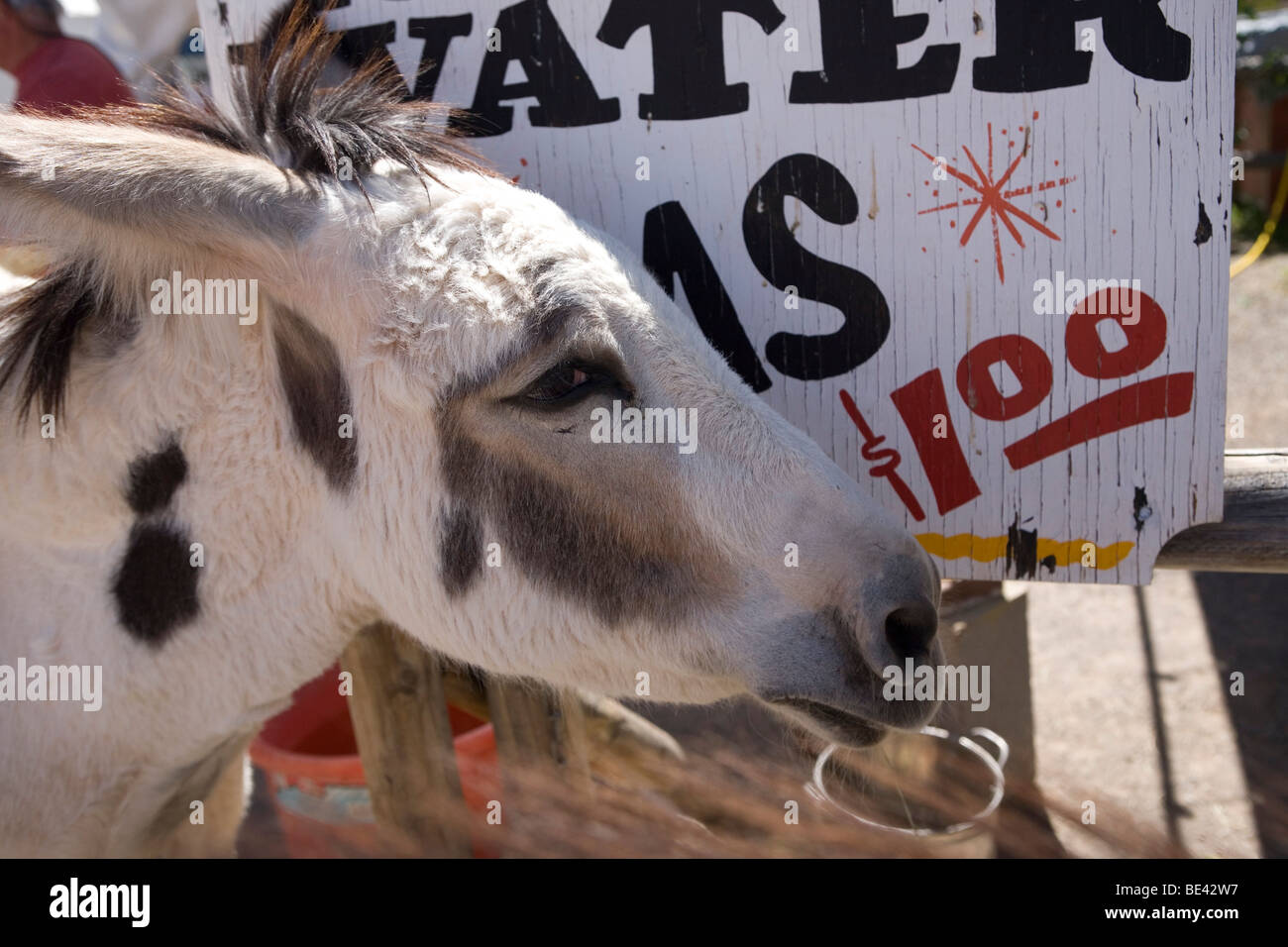 Old western town of Oatman, California along classic Route 66. Stock Photo