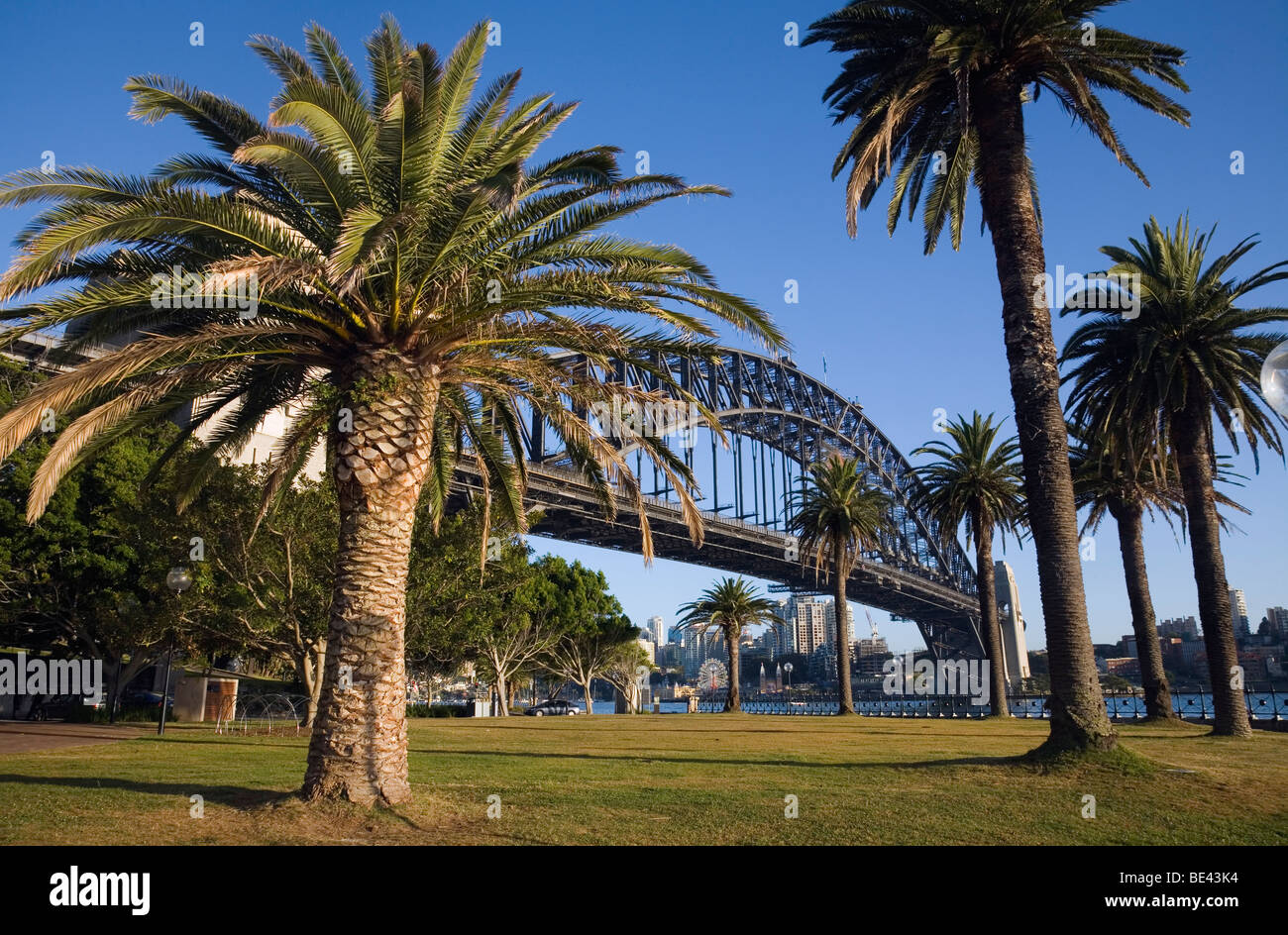 View of the Sydney Harbour Bridge from Dawes Point Reserve. The Rocks, Sydney, New South Wales, AUSTRALIA Stock Photo