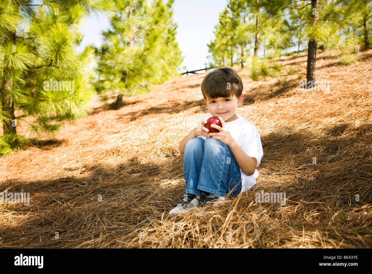 boy holding red apple Stock Photo