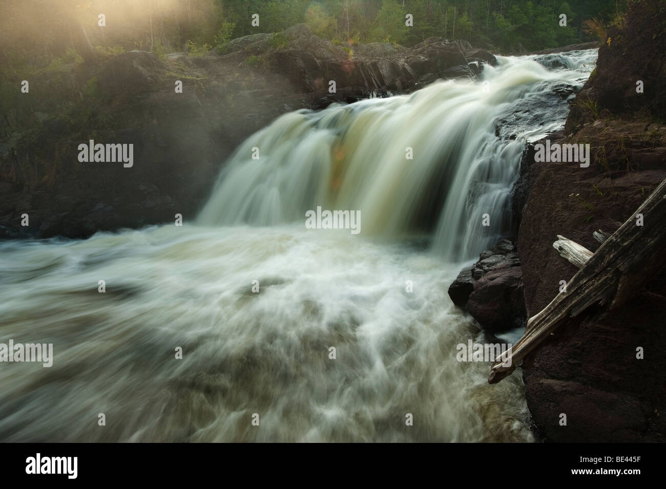 Brule river state forest hires stock photography and images Alamy