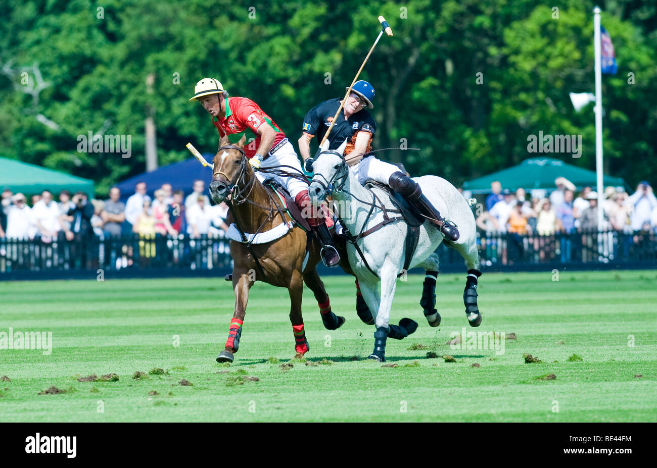 Polo players in action Stock Photo