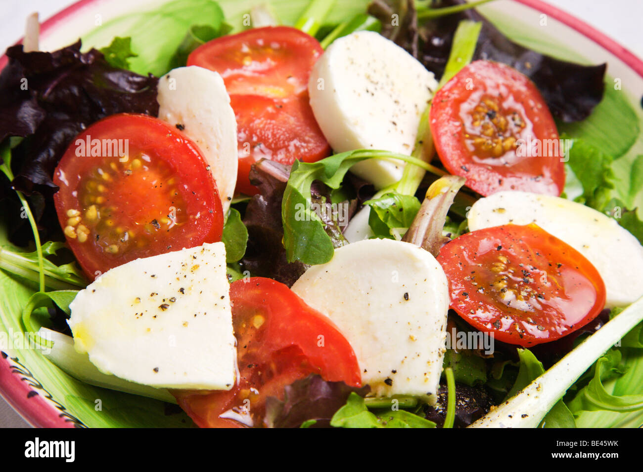 Tomato and mozzarella salad on a bed of lettuce leaves with spring