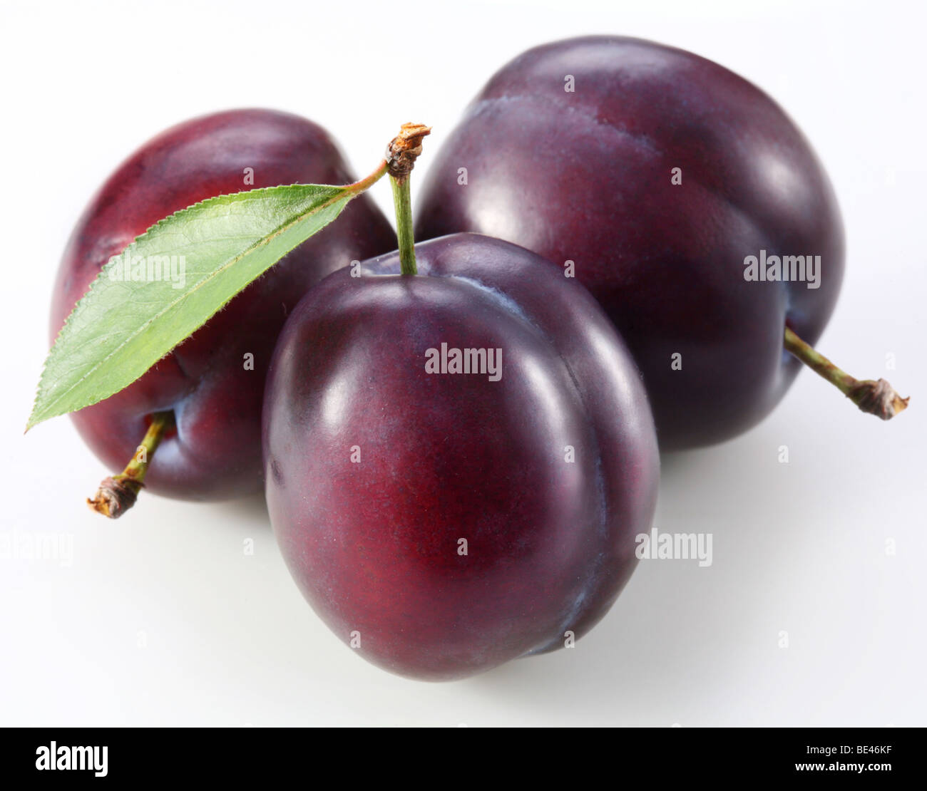 Plums on a white background Stock Photo