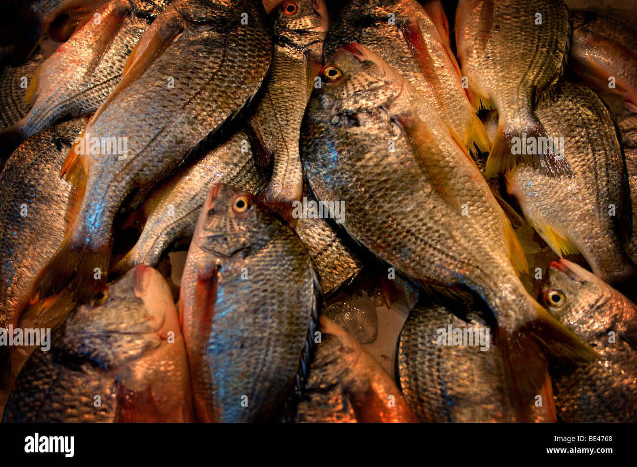 Kuwait fish market hires stock photography and images Alamy