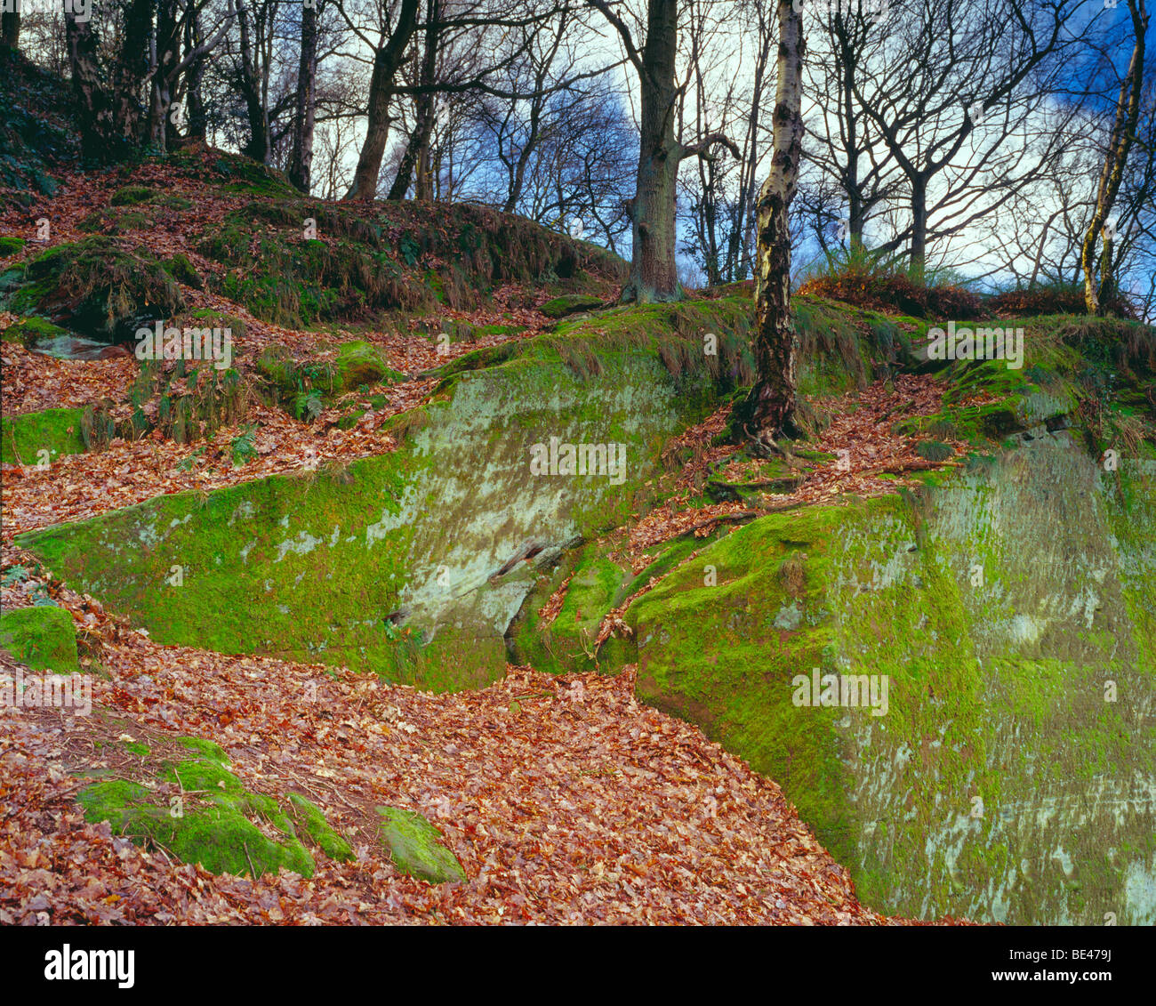 Rock worcestershire hi-res stock photography and images - Alamy
