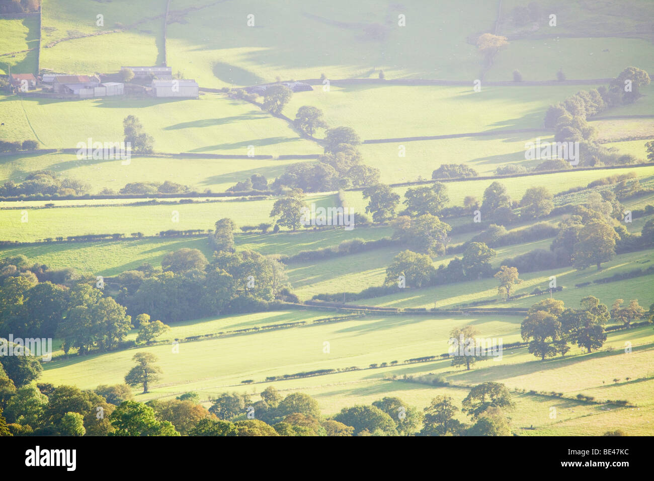 A late afternoon view of Farndale in the North York Moors National Park ...