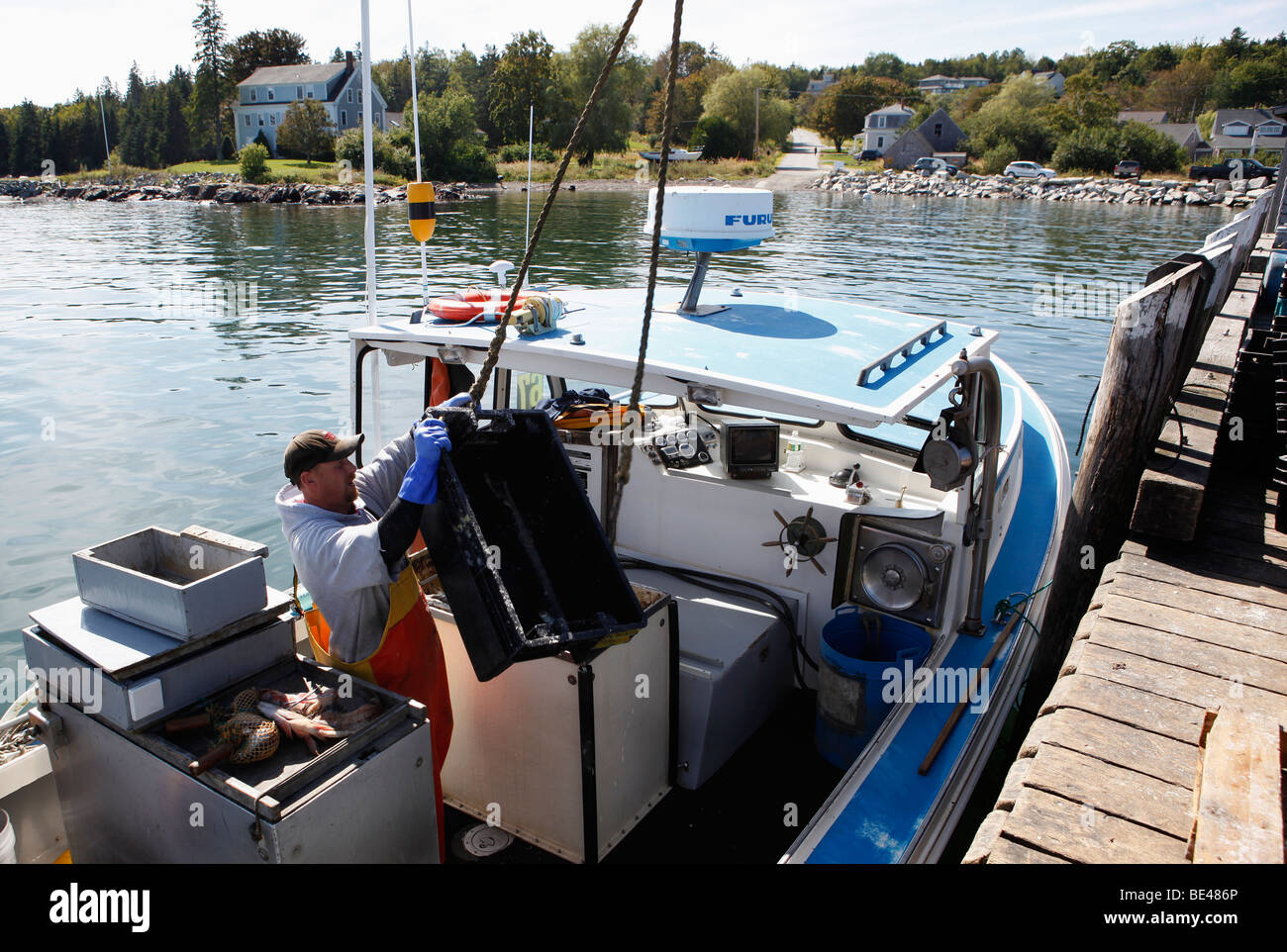 Lobsterman, Owls Head, Maine Stock Photo Alamy