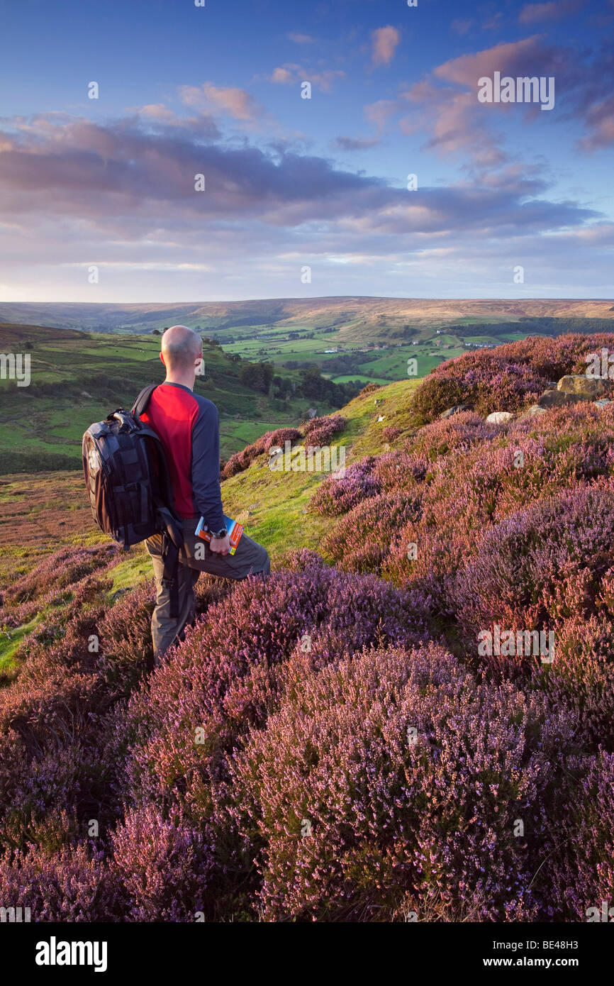 A walker looking out towards Rosedale in the North York Moors National Park in the evening, North Yorkshire, England, UK Stock Photo