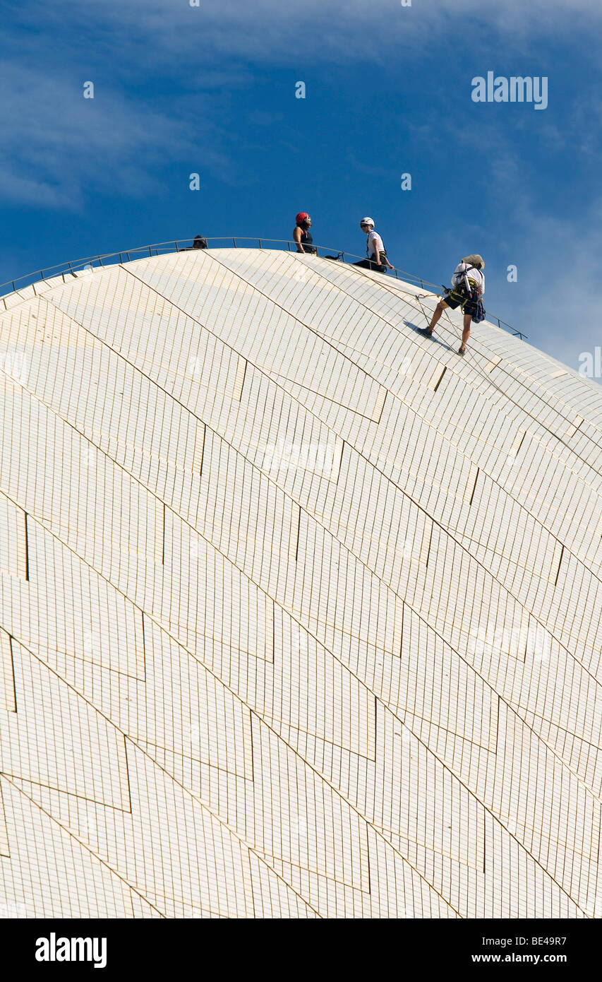 Workers scale the Opera House roof to carry out repairs.  Circular Quay, Sydney, New South Wales, AUSTRALIA Stock Photo