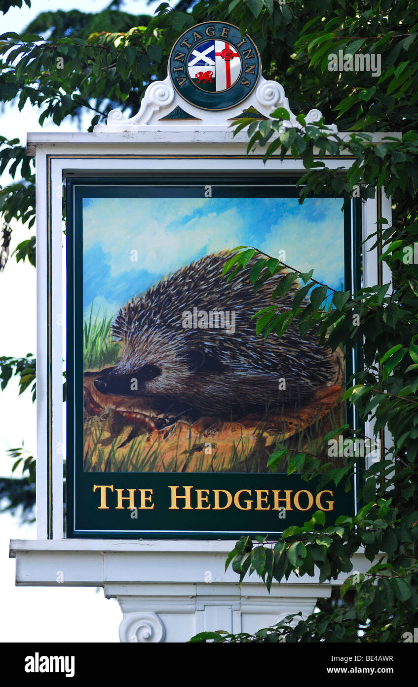 Inn sign, The Hedgehog, Stafford Road, Lichfield, Staffordshire, England, United Kingdom, Europe Stock Photo