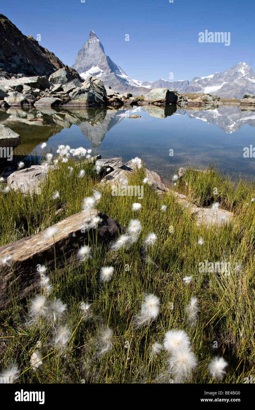 Matterhorn Swiss Alps Zermatt Switzerland Europe Stock Photo Alamy Matterhorn Swiss Alps Zermatt Switzerland Europe Stock Photo Alamy