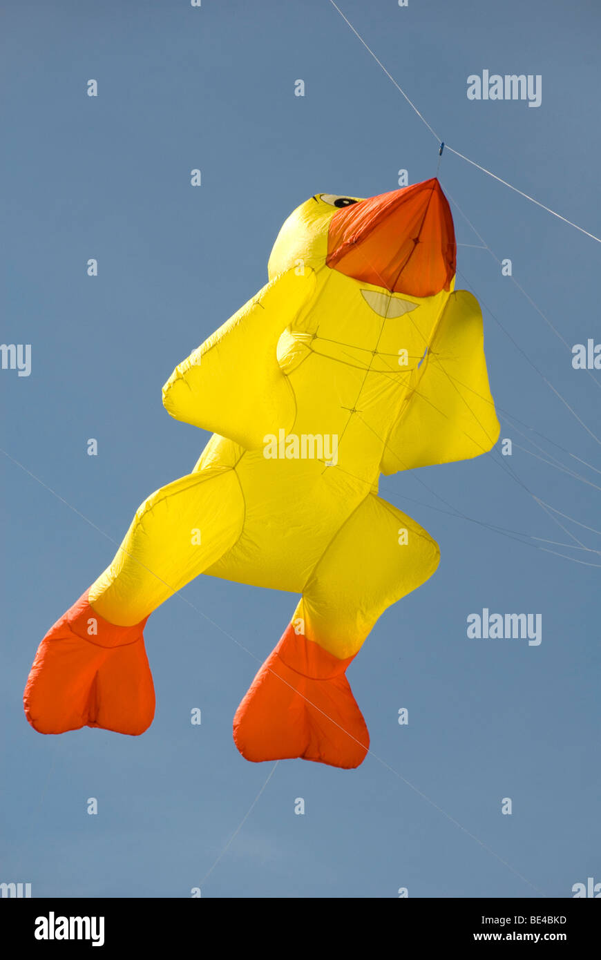 Large Kite, Chick, International Kite Festival, Bristol, UK Stock Photo